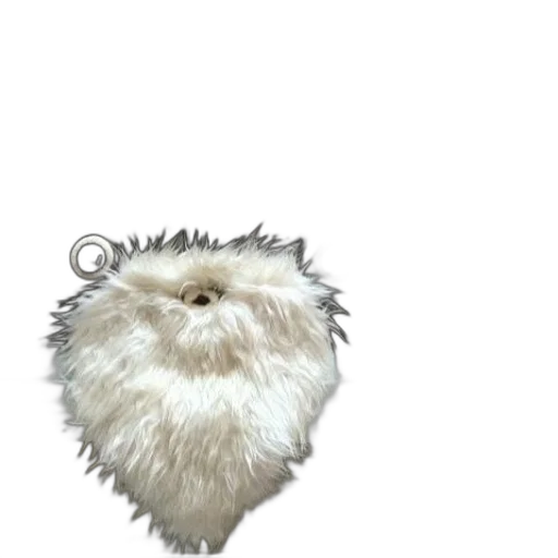 hair, face, creature, animal transparent PNG cut-out