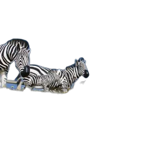 jewelry, animal, furniture, shoes transparent PNG cut-out