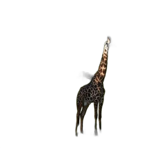 animal, creature, hat, staff transparent PNG cut-out