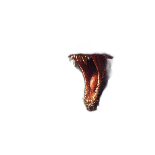 dragon, creature, animal, hair transparent PNG cut-out
