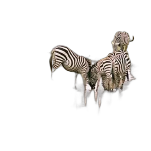 animal, creature, jewelry, furniture transparent PNG cut-out