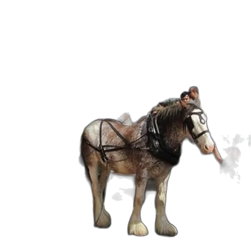 animal, creature, staff, 3d render transparent PNG cut-out