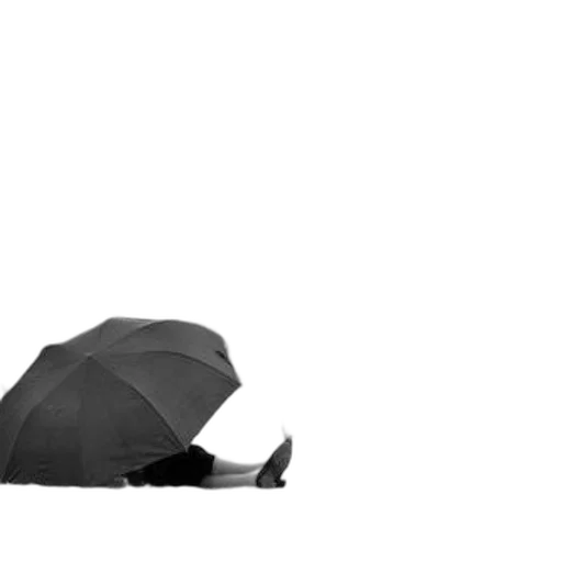 umbrella, hat, jacket, staff transparent PNG cut-out