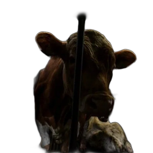 animal, staff, weapon, food transparent PNG cut-out