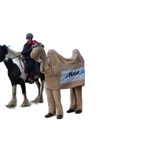 staff, animal, jacket, 3d render transparent PNG cut-out