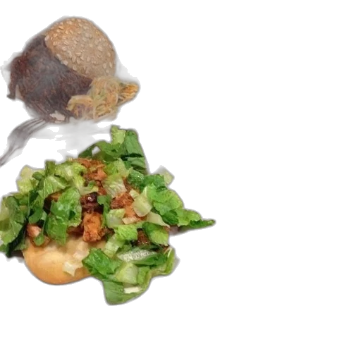 food, hair, animal, hat transparent PNG cut-out