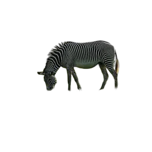 animal, creature, furniture, dragon transparent PNG cut-out