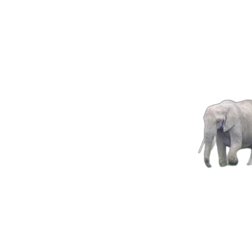 animal, creature, weapon, robot transparent PNG cut-out