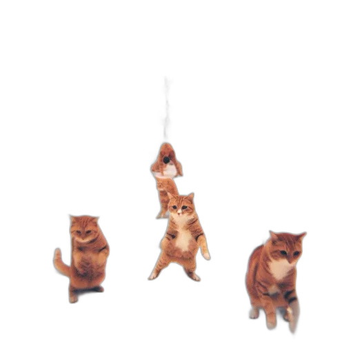 staff, animal, umbrella, food transparent PNG cut-out