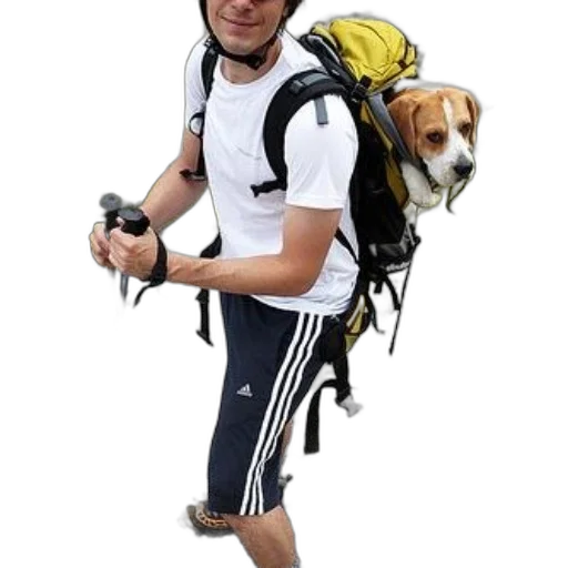animal, creature, staff, jacket transparent PNG cut-out