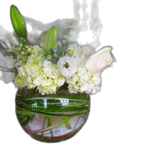 crown, flower, bottle, jewelry transparent PNG cut-out