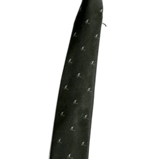 staff, sword, umbrella, weapon transparent PNG cut-out