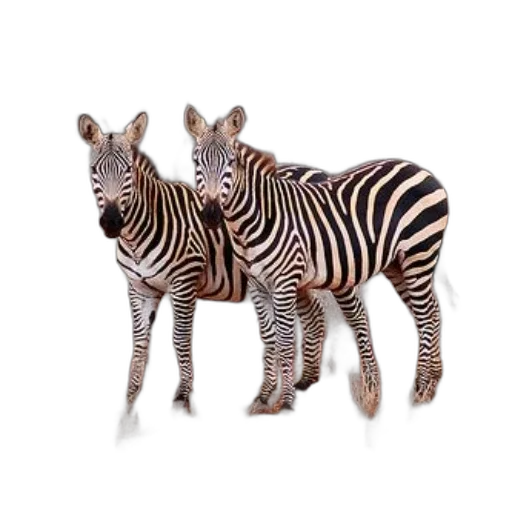 animal, creature, jewelry, 3d render transparent PNG cut-out