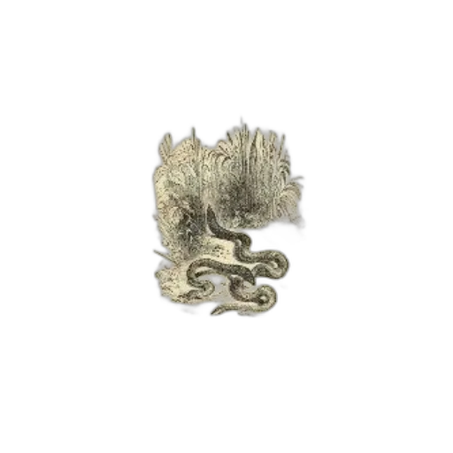 dragon, jewelry, crown, hair transparent PNG cut-out