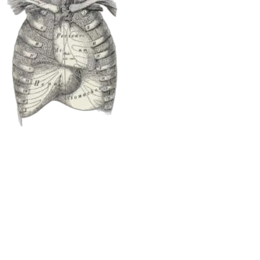 animal, robot, mask, jacket transparent PNG cut-out