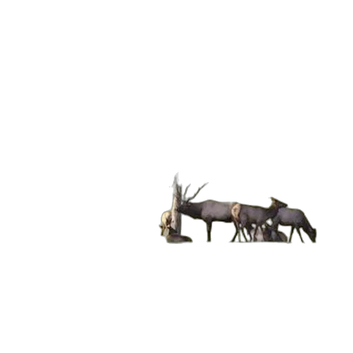 dragon, animal, furniture, creature transparent PNG cut-out