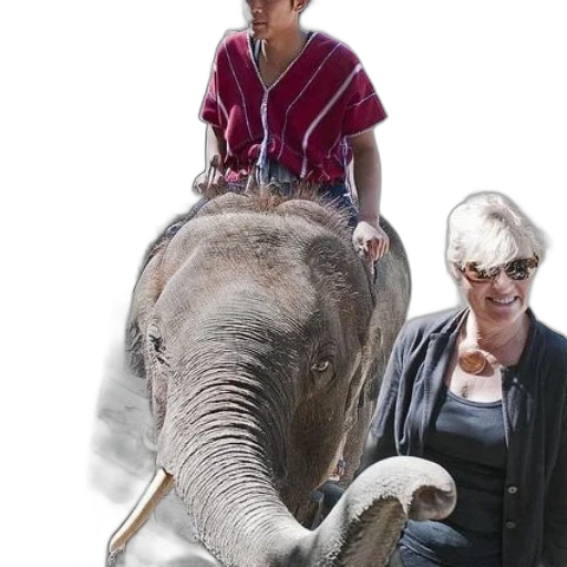animal, creature, staff, photorealistic transparent PNG cut-out