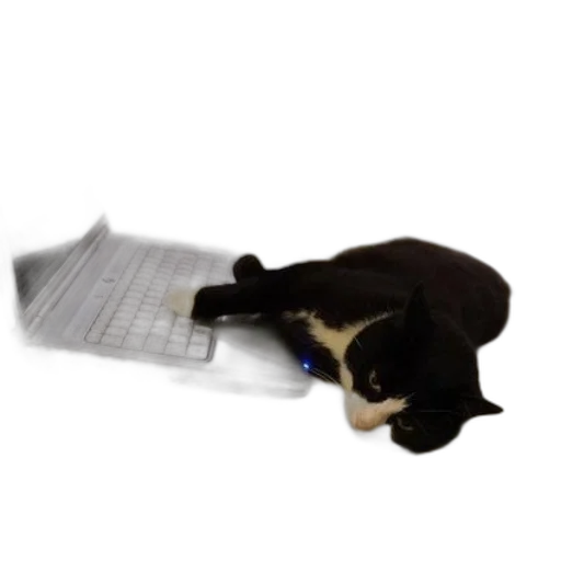 staff, animal, furniture, black transparent PNG cut-out