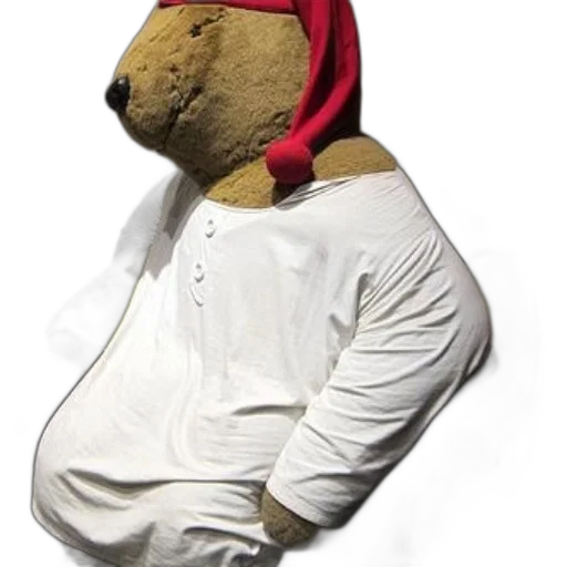 hat, jacket, animal, mask transparent PNG cut-out