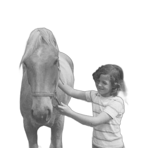 animal, creature, photorealistic, pencil sketch transparent PNG cut-out
