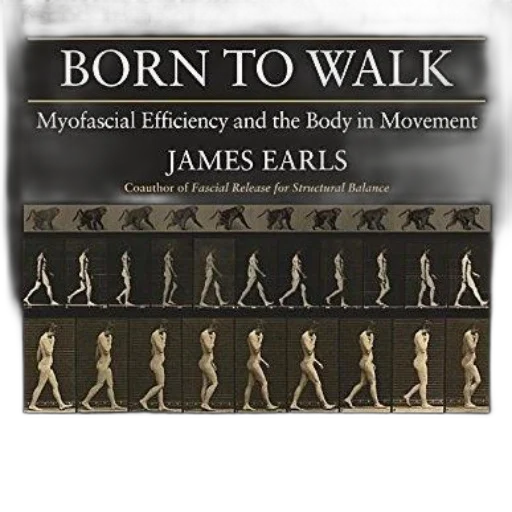 born, walk, myofascial, efficiency transparent PNG cut-out