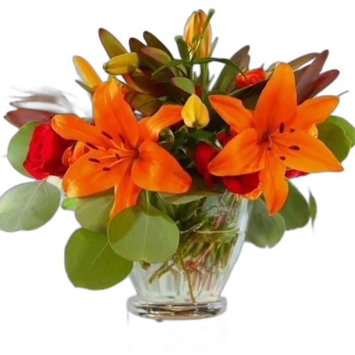 flower, crown, photorealistic, 3d render transparent PNG cut-out