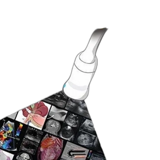 bottle, umbrella, staff, crown transparent PNG cut-out