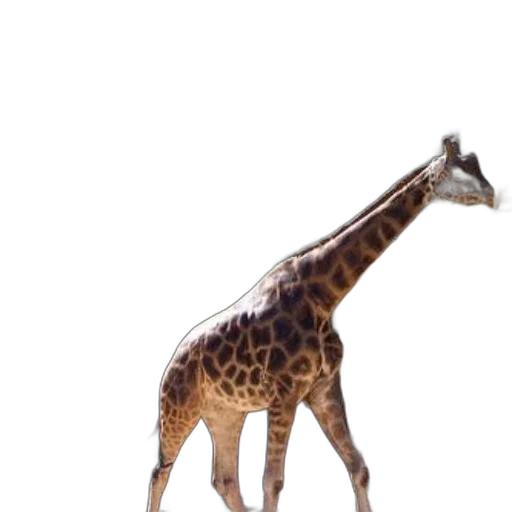 animal, creature, staff, weapon transparent PNG cut-out