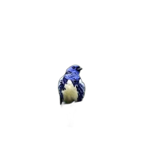 animal, creature, robot, hat transparent PNG cut-out