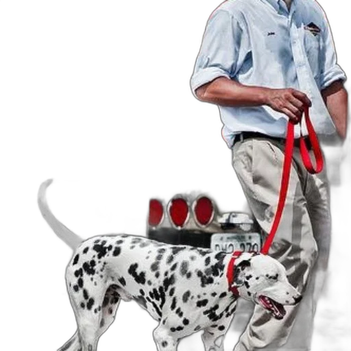 staff, animal, creature, photorealistic transparent PNG cut-out