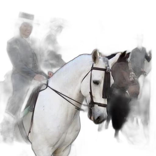 staff, hat, animal, sword transparent PNG cut-out