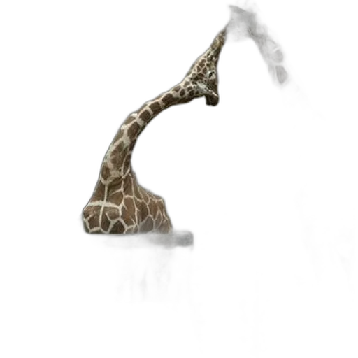 animal, creature, staff, weapon transparent PNG cut-out