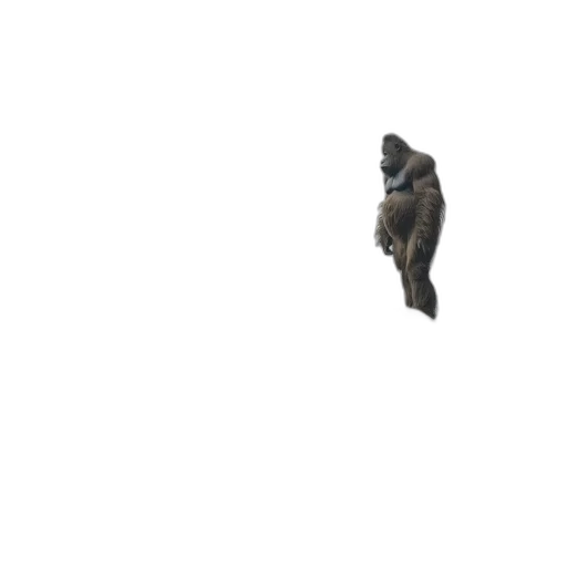 animal, creature, dragon, robot transparent PNG cut-out