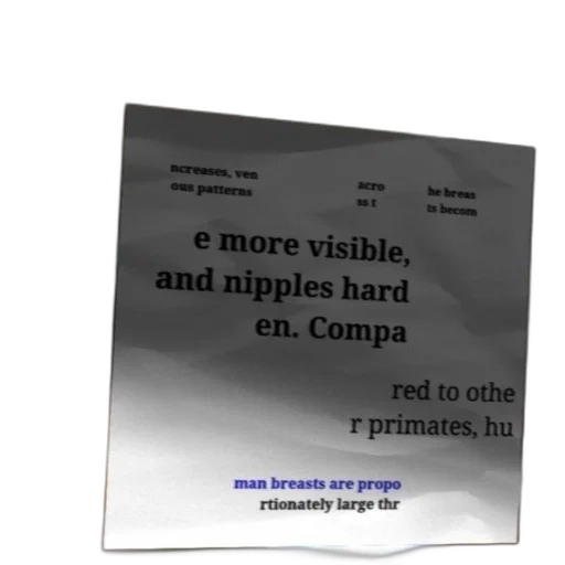 image, text-based, description, human transparent PNG cut-out