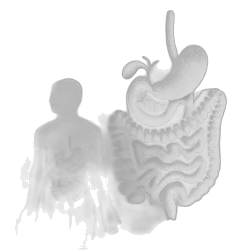 creature, crown, robot, dragon transparent PNG cut-out