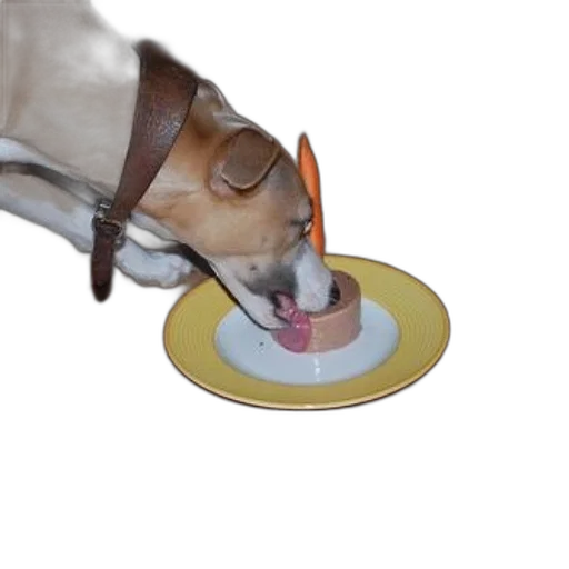 food, hat, animal, staff transparent PNG cut-out