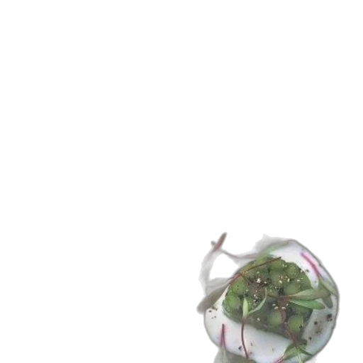 flower, food, weapon, jewelry transparent PNG cut-out
