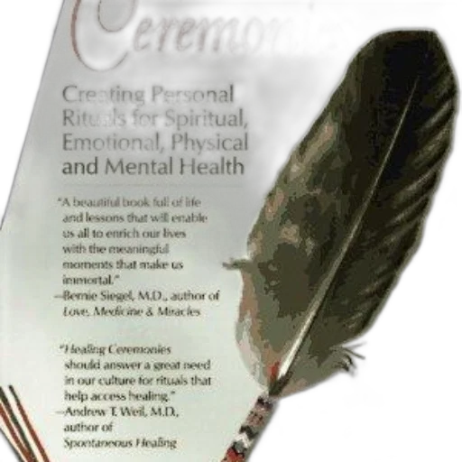 crown, book, cover, feather transparent PNG cut-out