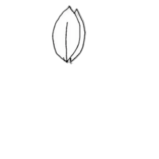 jewelry, crown, flower, staff transparent PNG cut-out