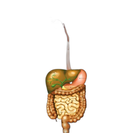 food, staff, crown, jewelry transparent PNG cut-out