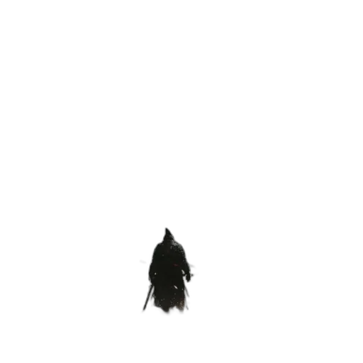 hair, animal, creature, hat transparent PNG cut-out
