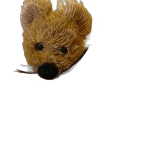staff, animal, creature, mask transparent PNG cut-out