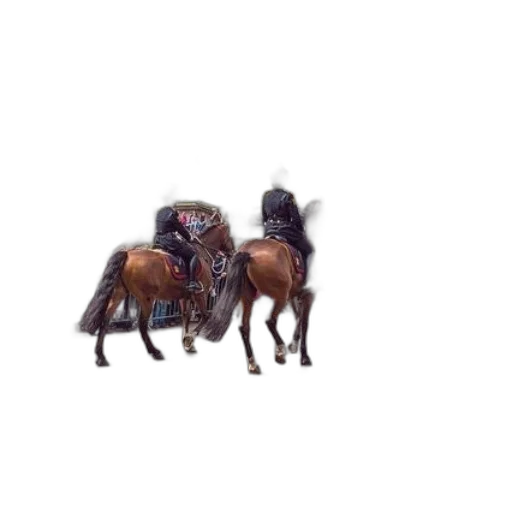 animal, furniture, creature, jewelry transparent PNG cut-out