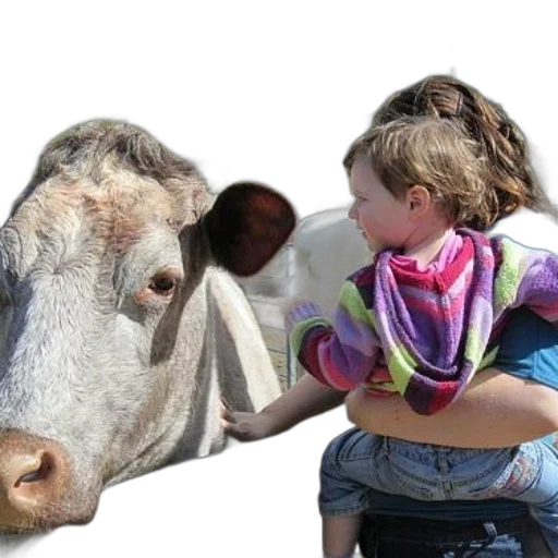 animal, creature, photorealistic, child transparent PNG cut-out