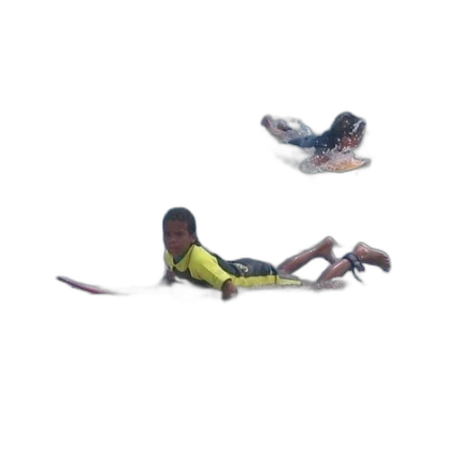 creature, animal, shoes, weapon transparent PNG cut-out