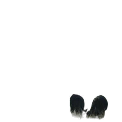 shoes, hair, hat, mask transparent PNG cut-out