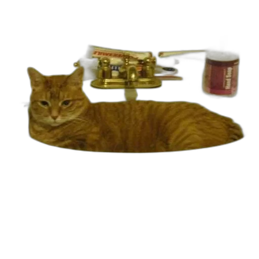 jewelry, staff, animal, robot transparent PNG cut-out
