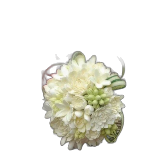 flower, crown, jewelry, staff transparent PNG cut-out