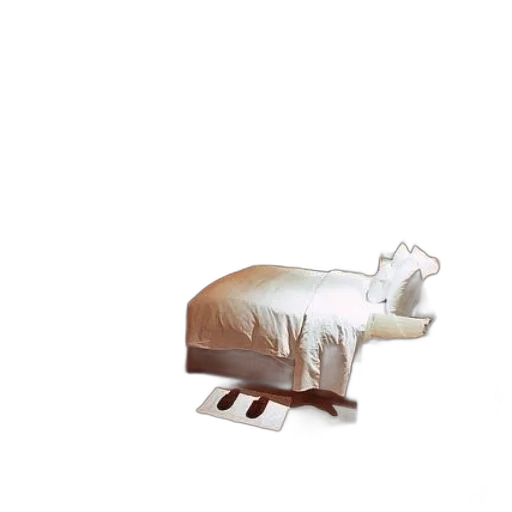 furniture, food, shoes, animal transparent PNG cut-out