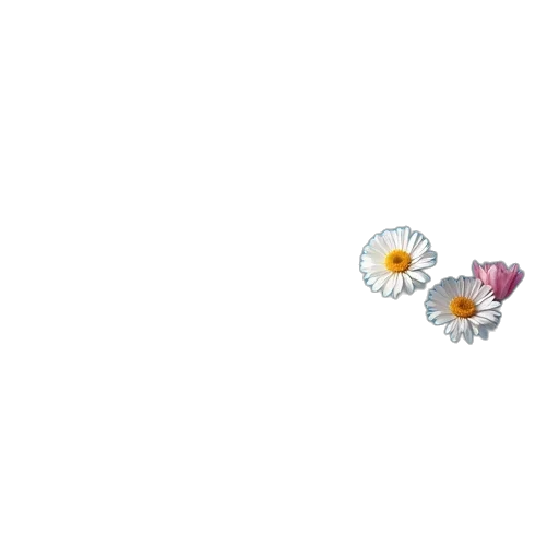 jewelry, flower, weapon, crown transparent PNG cut-out